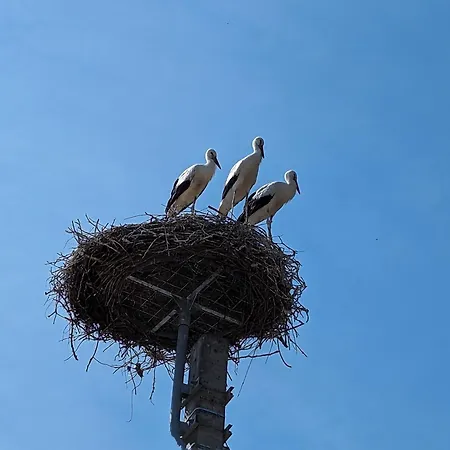 Palkovics Vendeghaz بيت للعطل