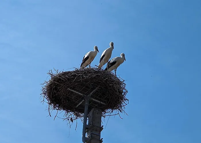 Palkovics Vendeghaz 度假居